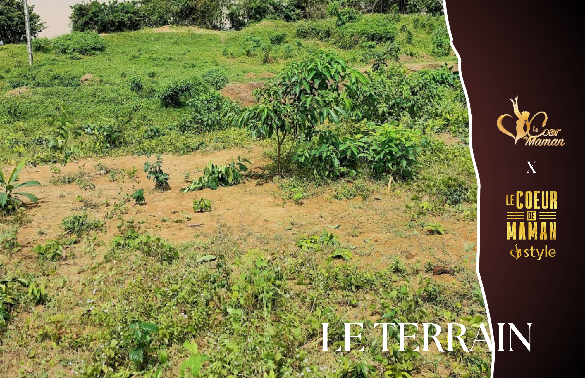 Un Hectare de Terre en Côte d’Ivoire : Solidarité et Agriculture Durable